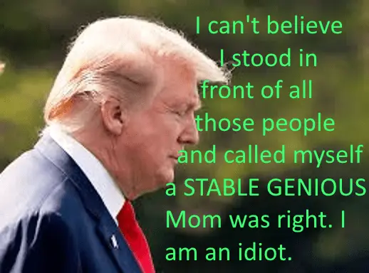 upload_2019-5-25_14-17-59-png.262432