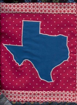 $Texas Log Cabin Friendship Star quilt center.jpg