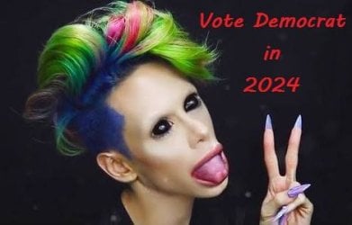 vote democrat.jpg