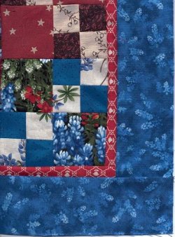 $bluebonnet pillow top border.jpg