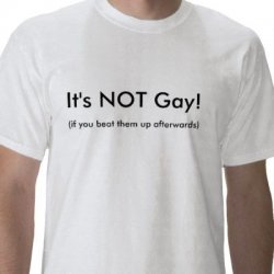 $its_not_gay_if_you_beat_them_up_afterwards_tshirt-p235635312733792971z7tqq_400.jpg