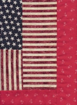 $Hero Star, Liberty Rose quilt 45x55in, 3,  03.23.2012.jpg