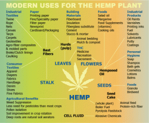 $hemp_uses.gif