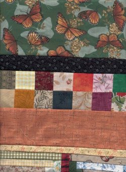 $childs monarch butterfly quilt top border 5-6-2012.jpg