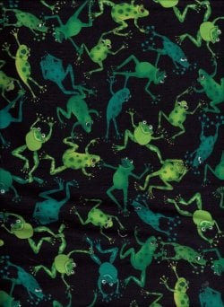 $Frogman And seahorse Special Service Quilt3 frog fabric 05.16.2012.jpg