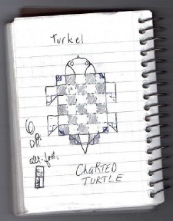 $Terkel the Charted Turtle1 roughdraft notebook 6.14.12.jpg