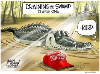 draining swamp.jpeg