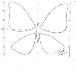 $Revised Butterfly Design Process III.jpg