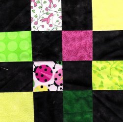 $Pink and Green Lady Bugs Quilt1.jpg