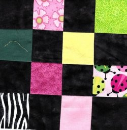 $Pink and Green Lady Bugs Quilt4.jpg