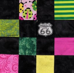 $Pink and Green Lady Bugs Quilt7.jpg