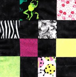 $Pink and Green Lady Bugs Quilt9.jpg