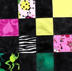 $Pink and Green Lady Bugs Quilt10.jpg