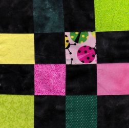 $Pink and Green Lady Bugs Quilt11.jpg