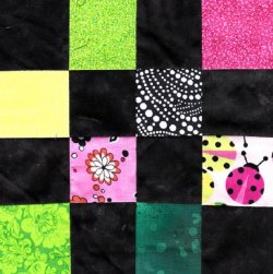 $Pink and Green Lady Bugs Quilt14.jpg