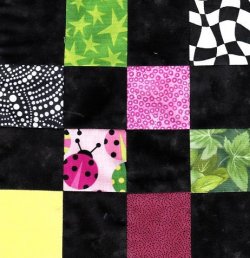 $Pink and Green Lady Bugs Quilt12.jpg