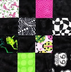 $Pink and Green Lady Bugs Quilt18.jpg