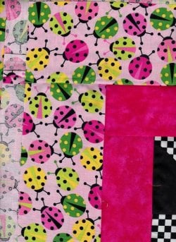 $Ladybug quilt border1.jpg