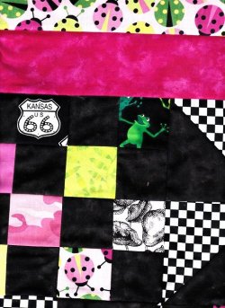 $Ladybug quilt border at top.jpg