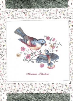 $Bird Pastels Quilt1 Mountain Bluebird.jpg