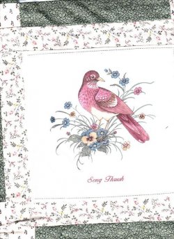 $Bird Pastels Quilt4 Song Thrush.jpg