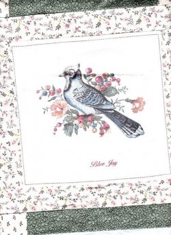 $Bird Pastels Quilt7 Blue Jay.jpg