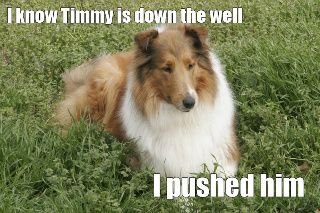 $dog-pushed-timmy-down-the-well-1.jpg