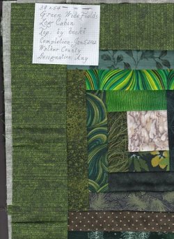 $Green Wide Fields Log Cabin3 quilt top border.jpg