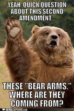 $bear-arms.jpg