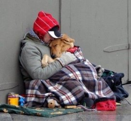 $homeless-and-dog.jpg