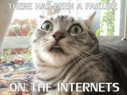 $fail cat 2.jpg