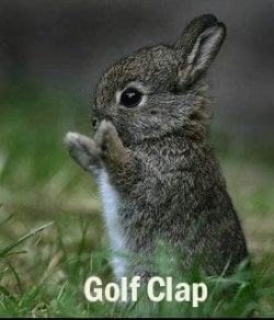 $Golfclap.jpg