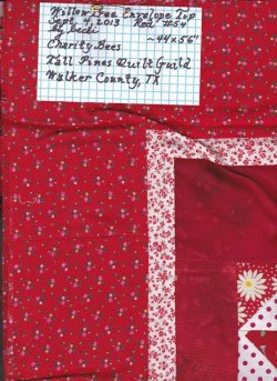 $Willow Tree7 Envelope Quilt.jpg