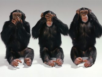 $See-no-evil-hear-no-evil-speak-no-evil-monkeys-.jpg