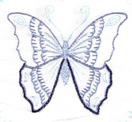 $Karner Blue Butterfly1.2.jpg