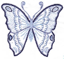 $Karner Blue Butterfly1.3.jpg