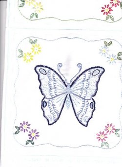 $Karner Blue Butterfly1.4 fin.jpg