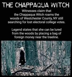 Hillary tree witch.jpg