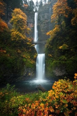 multnomah-falls-fall-landscape.jpg