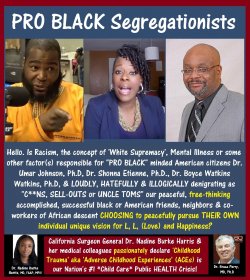 Dr. Umar Johnson, Dr. Boyce Watkins, Dr. Shonna Etienne, SEGREGATION.jpg