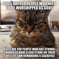 Difference between cats and dogs.jpg