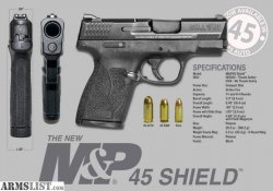 6085592_01_smith_and_wesson_m_p_45_shield_640.jpg