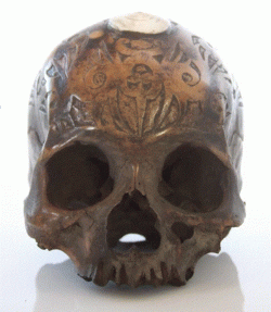 Dayak Trophy Skull.GIF