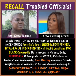 Erica Thomas MENTAL, Candace Owens, VILIFY.png