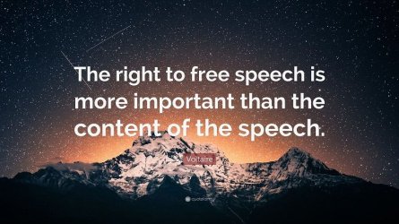 2947965-Voltaire-Quote-The-right-to-free-speech-is-more-important-than-the.jpg