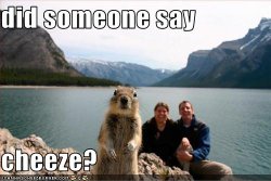$funny-pictures-squirrel-wants-cheese.jpg