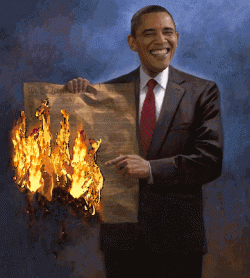 Obama burns the Constitution.gif