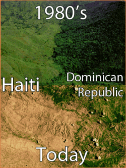 Screenshot_2020-11-21 tragedy ofthe commons Haiti - Google Search.png