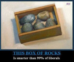 this-box-of-rocks-is-smarter-than-99-of-liberals.jpg