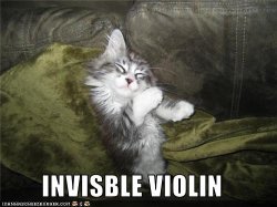 $funny-pictures-cat-has-invisible-violin.jpg